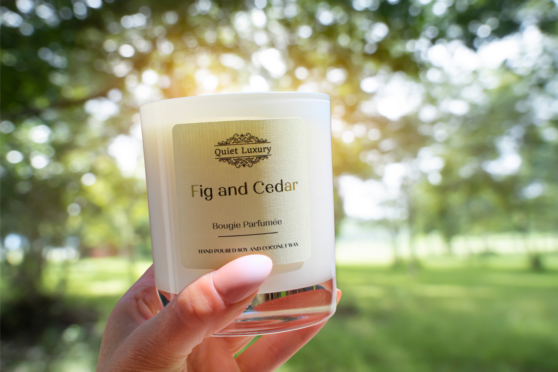 Hand holding a 'Fig and Cedar' candle with a blurred natural background